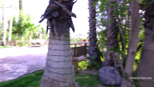 Превью Жених изменяет невесте с ее подругой во время свадьбы № 37840