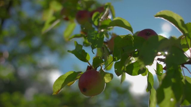 Превью Эротическое представление от стройной модели на камеру № 44893