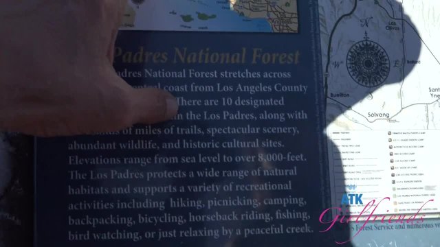 Весьма удачная булочка на свежем воздухе